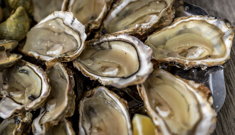 Pourquoi les huîtres du Golfe du Morbihan sont-elles si appréciées ?